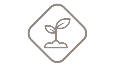 Sustainability - Prosperity