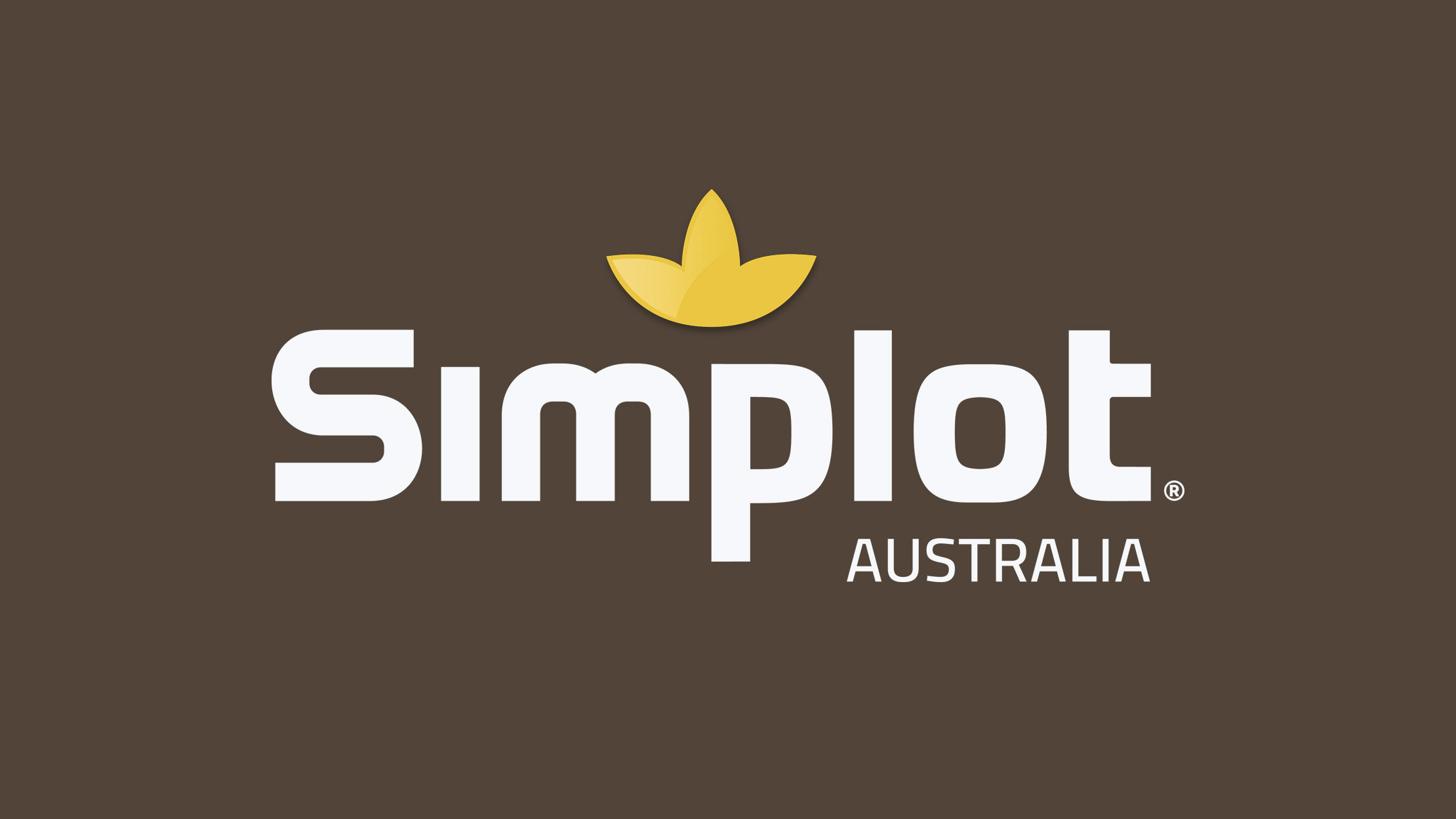 No video playback capabilities