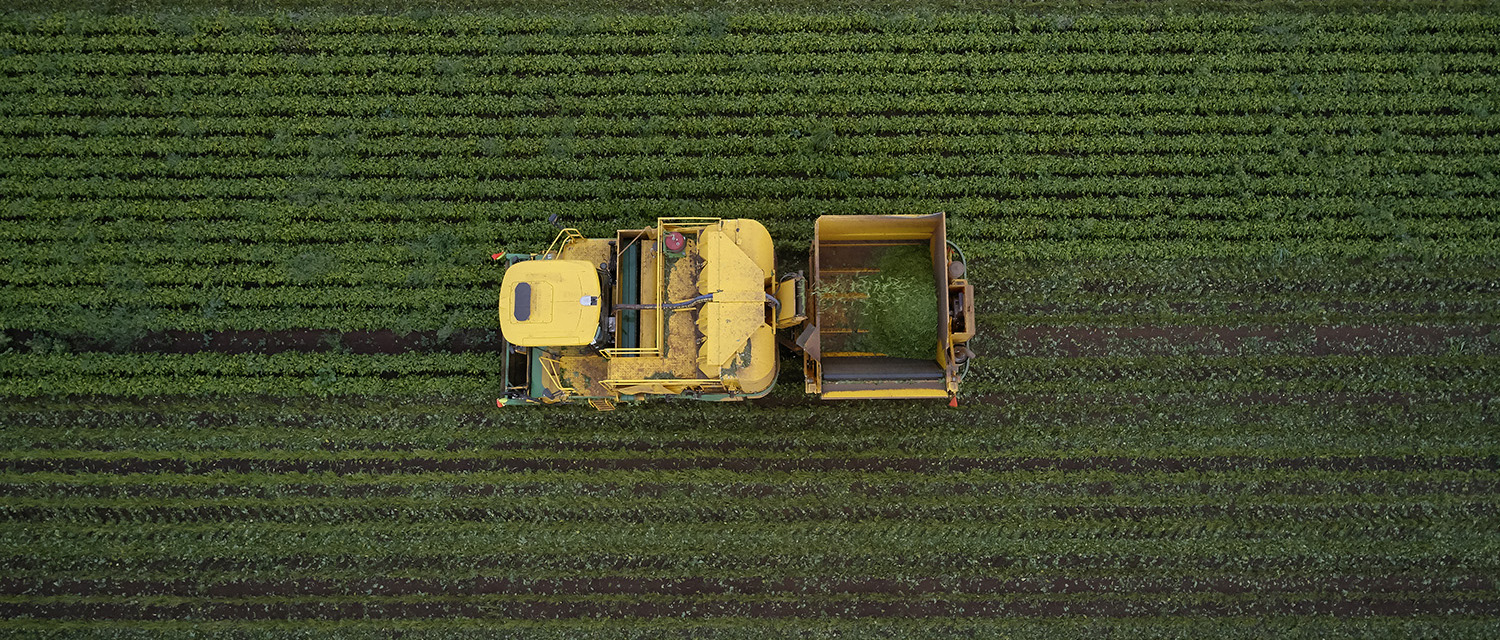 Tasmanian Farm Tractor View From The Top