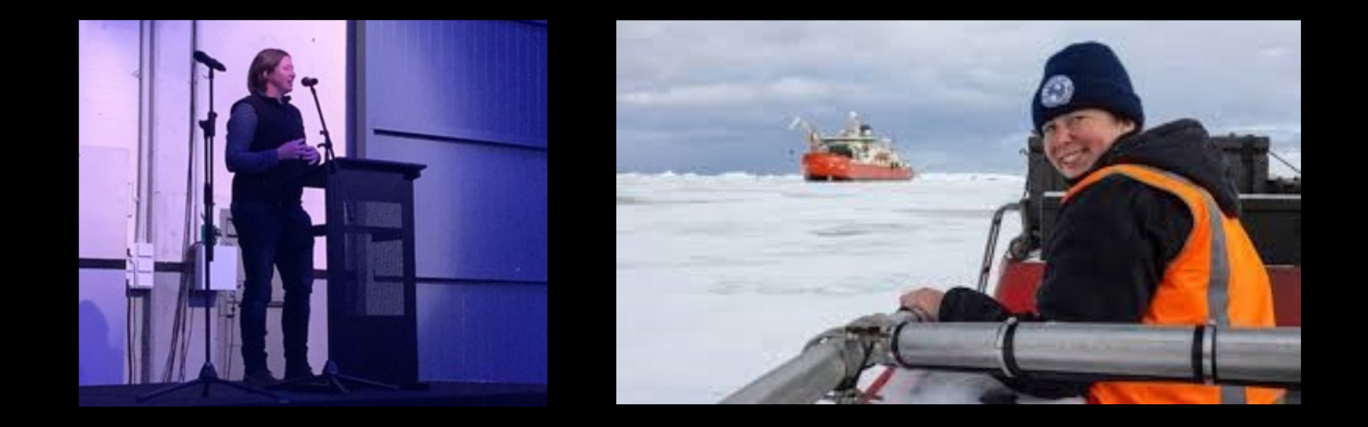 Fearless Festival - JF